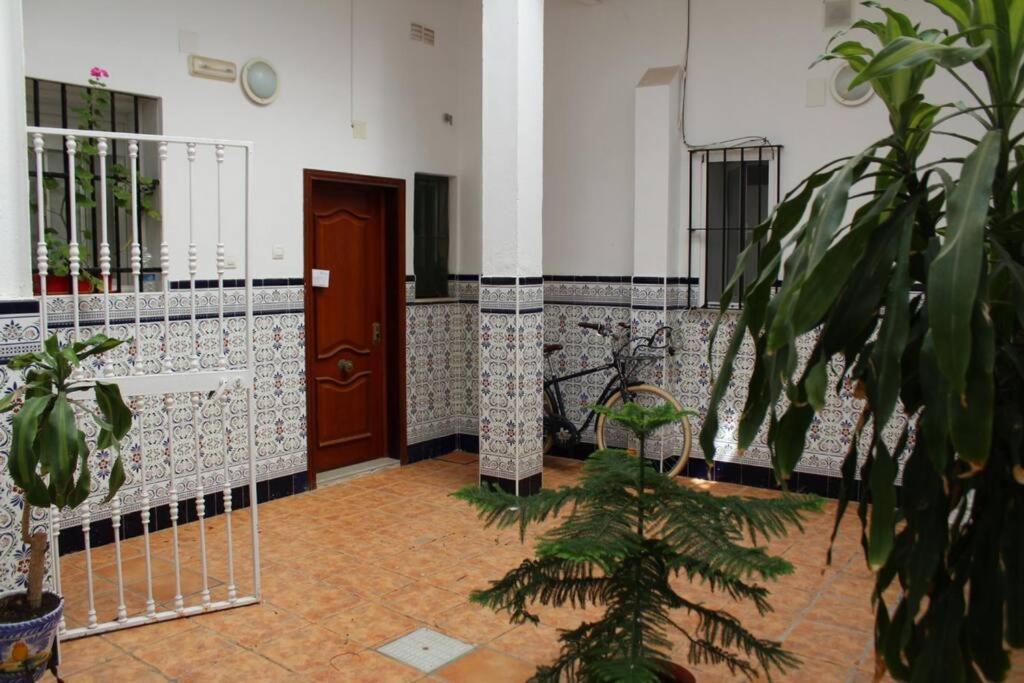 Cdz - Casa De Los Viajeros Pasquin Cadix Extérieur photo